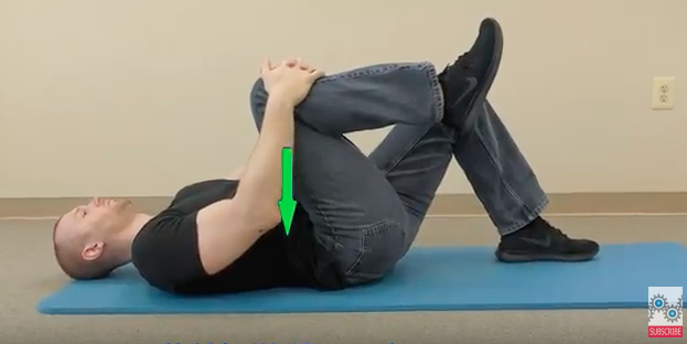 Lower Back - Physical Therapy 101