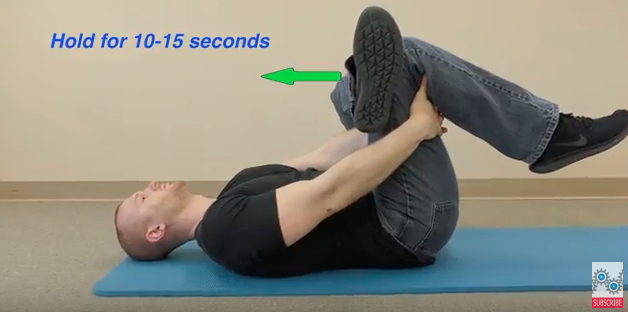 Lower Back - Physical Therapy 101