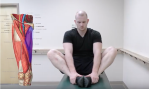 Groin Injury - Physical Therapy 101